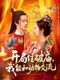 ����ס���������ܺͶ��ｻ��